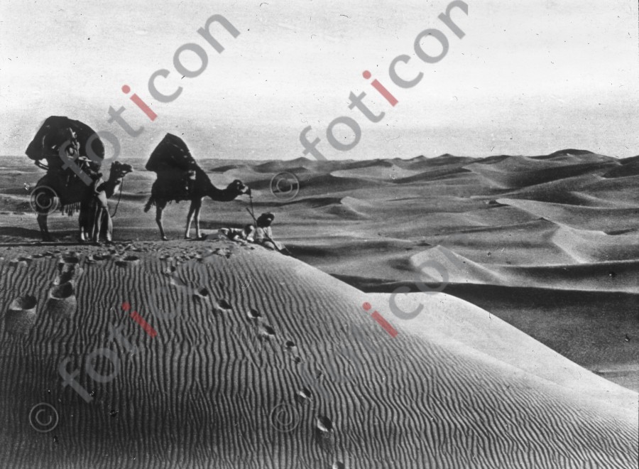 Wüstenlandschaft | Desert landscape (foticon-simon-008-028-sw.jpg)